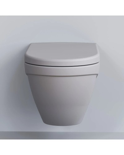 Сиденье для унитаза с микролифтом Ambassador Nord 132T20301