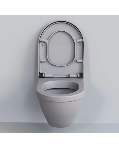 Сиденье для унитаза с микролифтом Ambassador Nord 132T20301