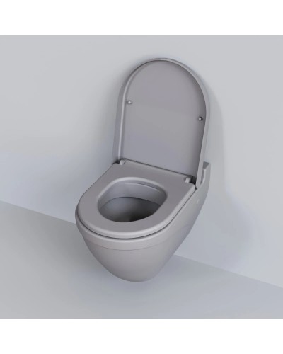 Сиденье для унитаза с микролифтом Ambassador Nord 132T20301