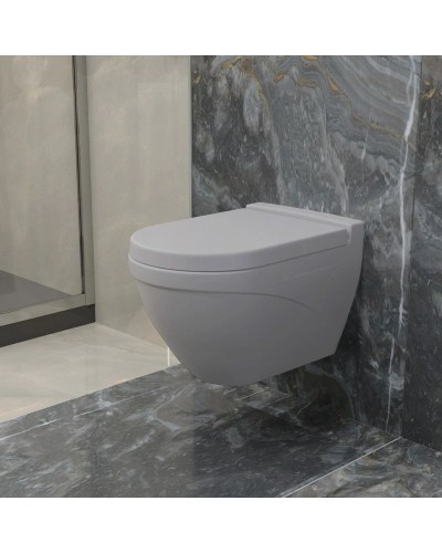 Сиденье для унитаза с микролифтом Ambassador Nord 132T20301