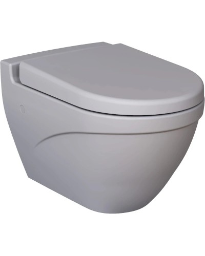 Сиденье для унитаза с микролифтом Ambassador Nord 132T20301