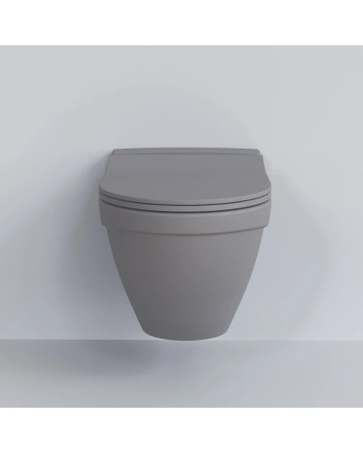 Сиденье для унитаза с микролифтом Ambassador Nord 132T20301S