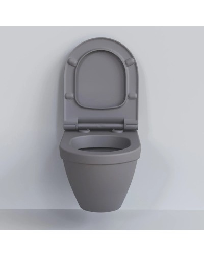 Сиденье для унитаза с микролифтом Ambassador Nord 132T20301S