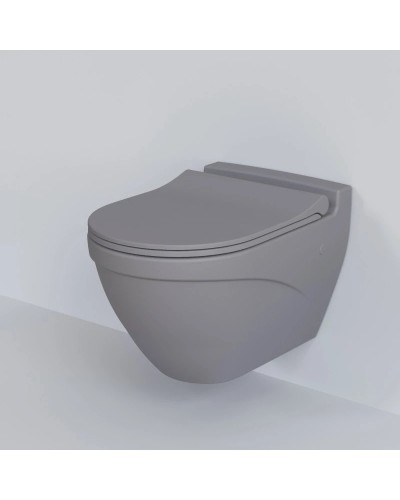 Сиденье для унитаза с микролифтом Ambassador Nord 132T20301S