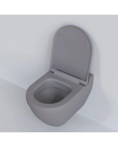 Сиденье для унитаза с микролифтом Ambassador Nord 132T20301S