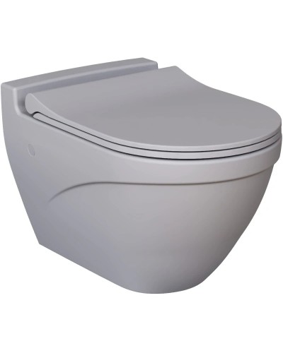 Сиденье для унитаза с микролифтом Ambassador Nord 132T20301S