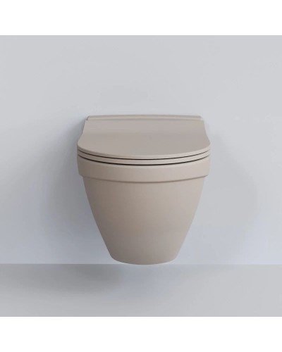 Сиденье для унитаза с микролифтом Ambassador Nord 132T20401S