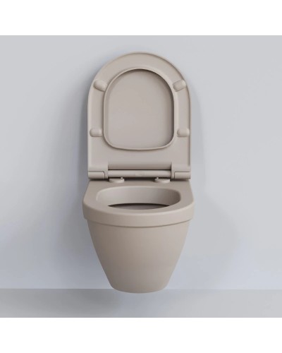 Сиденье для унитаза с микролифтом Ambassador Nord 132T20401S