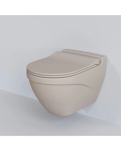 Сиденье для унитаза с микролифтом Ambassador Nord 132T20401S