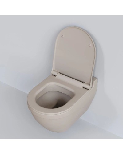 Сиденье для унитаза с микролифтом Ambassador Nord 132T20401S