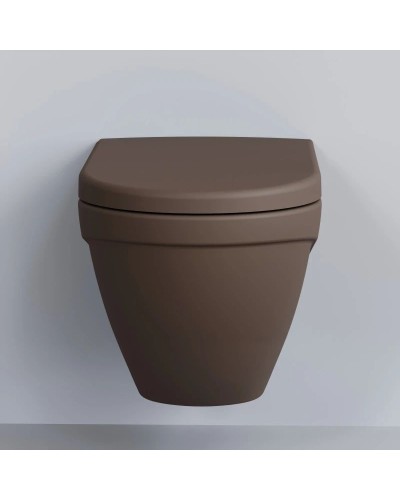 Сиденье для унитаза с микролифтом Ambassador Nord 132T20601