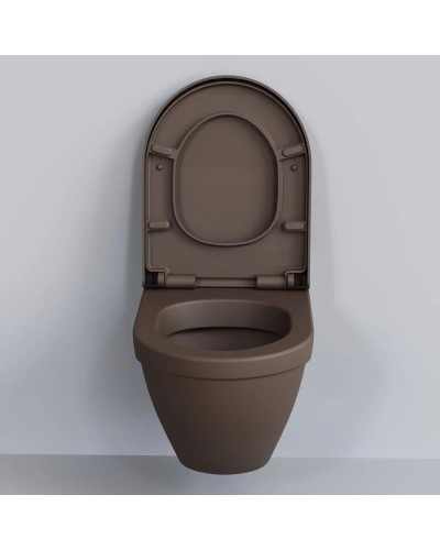 Сиденье для унитаза с микролифтом Ambassador Nord 132T20601