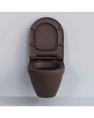 Сиденье для унитаза с микролифтом Ambassador Nord 132T20601S