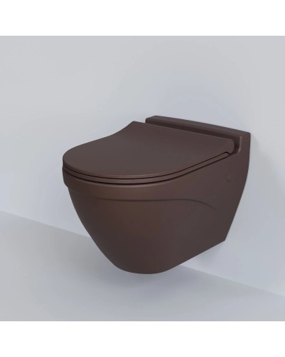 Сиденье для унитаза с микролифтом Ambassador Nord 132T20601S