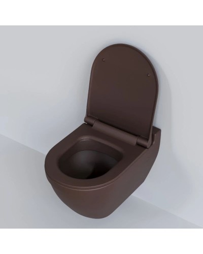 Сиденье для унитаза с микролифтом Ambassador Nord 132T20601S