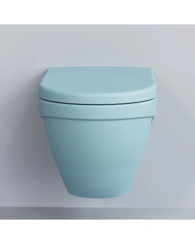 Сиденье для унитаза с микролифтом Ambassador Nord 132T20801