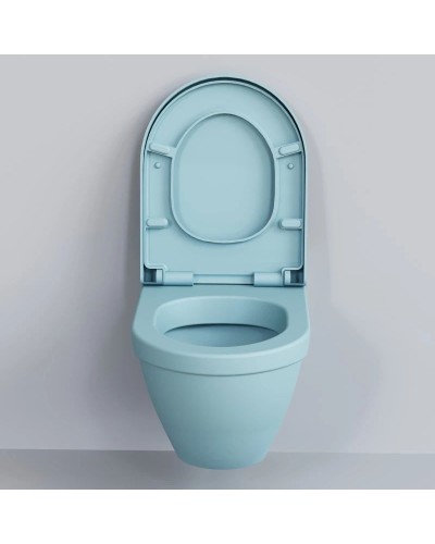 Сиденье для унитаза с микролифтом Ambassador Nord 132T20801