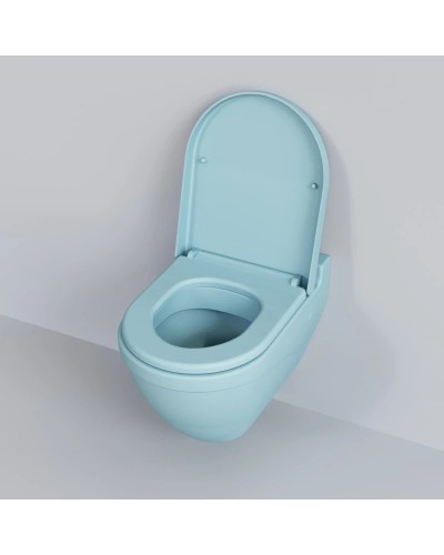 Сиденье для унитаза с микролифтом Ambassador Nord 132T20801