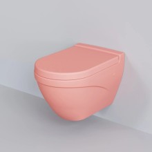 Сиденье для унитаза с микролифтом Ambassador Nord 132T20901