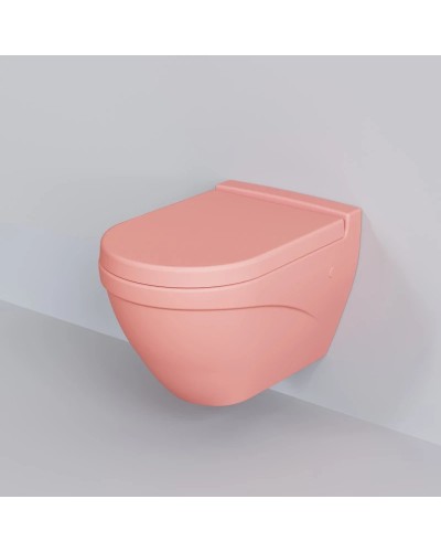 Сиденье для унитаза с микролифтом Ambassador Nord 132T20901