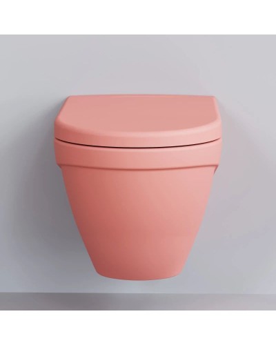 Сиденье для унитаза с микролифтом Ambassador Nord 132T20901