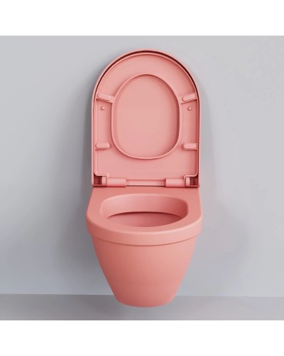 Сиденье для унитаза с микролифтом Ambassador Nord 132T20901