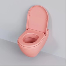 Сиденье для унитаза с микролифтом Ambassador Nord 132T20901