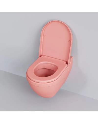 Сиденье для унитаза с микролифтом Ambassador Nord 132T20901