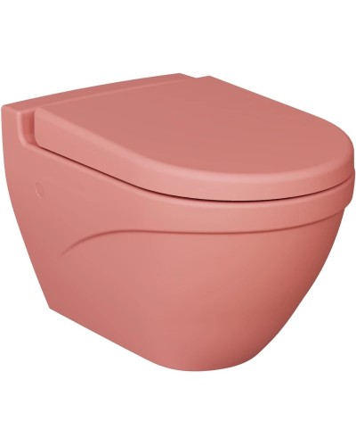 Сиденье для унитаза с микролифтом Ambassador Nord 132T20901