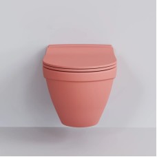 Сиденье для унитаза с микролифтом Ambassador Nord 132T20901S