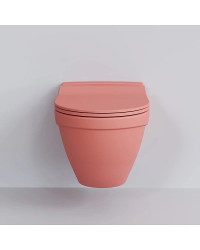 Сиденье для унитаза с микролифтом Ambassador Nord 132T20901S