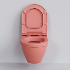 Сиденье для унитаза с микролифтом Ambassador Nord 132T20901S