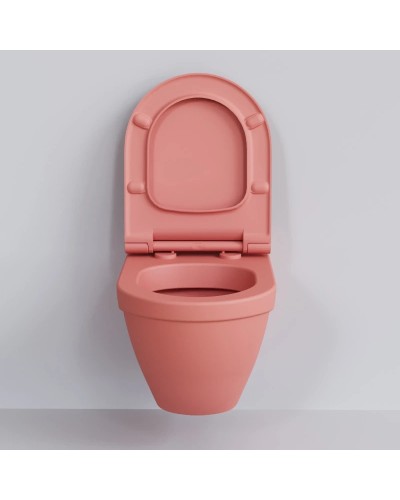 Сиденье для унитаза с микролифтом Ambassador Nord 132T20901S