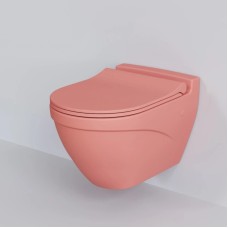 Сиденье для унитаза с микролифтом Ambassador Nord 132T20901S