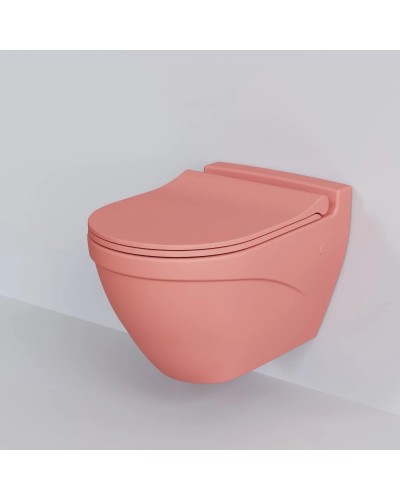 Сиденье для унитаза с микролифтом Ambassador Nord 132T20901S