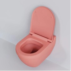 Сиденье для унитаза с микролифтом Ambassador Nord 132T20901S