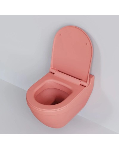 Сиденье для унитаза с микролифтом Ambassador Nord 132T20901S