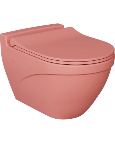 Сиденье для унитаза с микролифтом Ambassador Nord 132T20901S