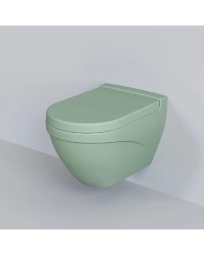 Сиденье для унитаза с микролифтом Ambassador Nord 132T21001