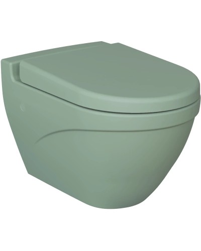 Сиденье для унитаза с микролифтом Ambassador Nord 132T21001