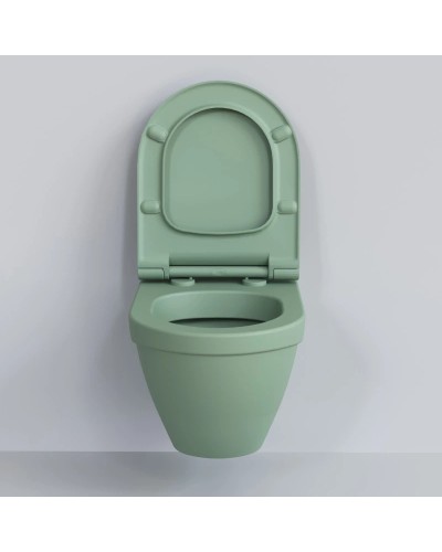 Сиденье для унитаза с микролифтом Ambassador Nord 132T21001S