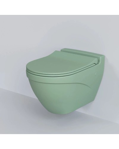 Сиденье для унитаза с микролифтом Ambassador Nord 132T21001S