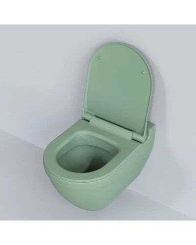 Сиденье для унитаза с микролифтом Ambassador Nord 132T21001S