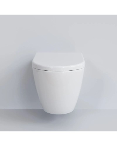 Сиденье для унитаза с микролифтом Ambassador Queen 112T20001