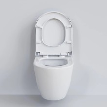 Сиденье для унитаза с микролифтом Ambassador Queen 112T20001