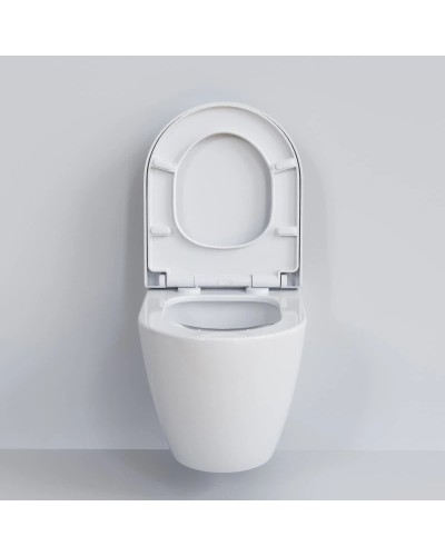 Сиденье для унитаза с микролифтом Ambassador Queen 112T20001