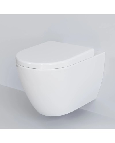 Сиденье для унитаза с микролифтом Ambassador Queen 112T20001