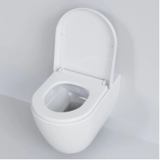 Сиденье для унитаза с микролифтом Ambassador Queen 112T20001