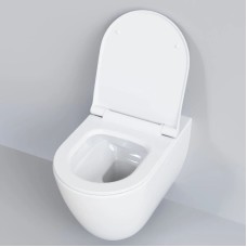 Сиденье для унитаза с микролифтом Ambassador Queen 112T20001S