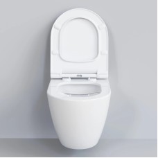 Сиденье для унитаза с микролифтом Ambassador Queen 112T20001S